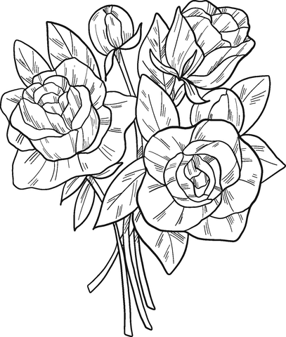 Bouquet Of Roses Coloring Page